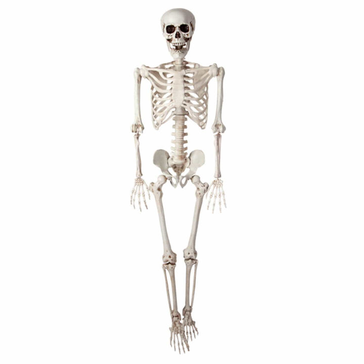 Full size skeleton figure Halloween party decoration