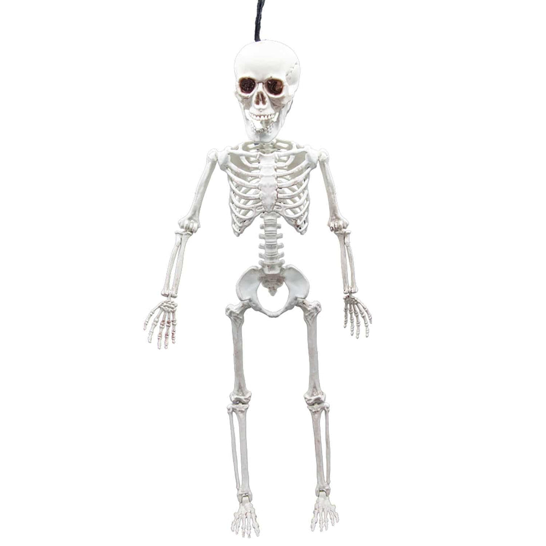 Hanging skeleton decoration for halloween