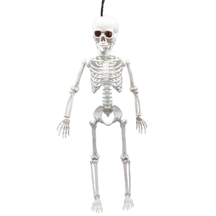 Hanging skeleton decoration for halloween