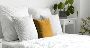 white bed featuring pillows and cushions beside side table with swiss cheese plant