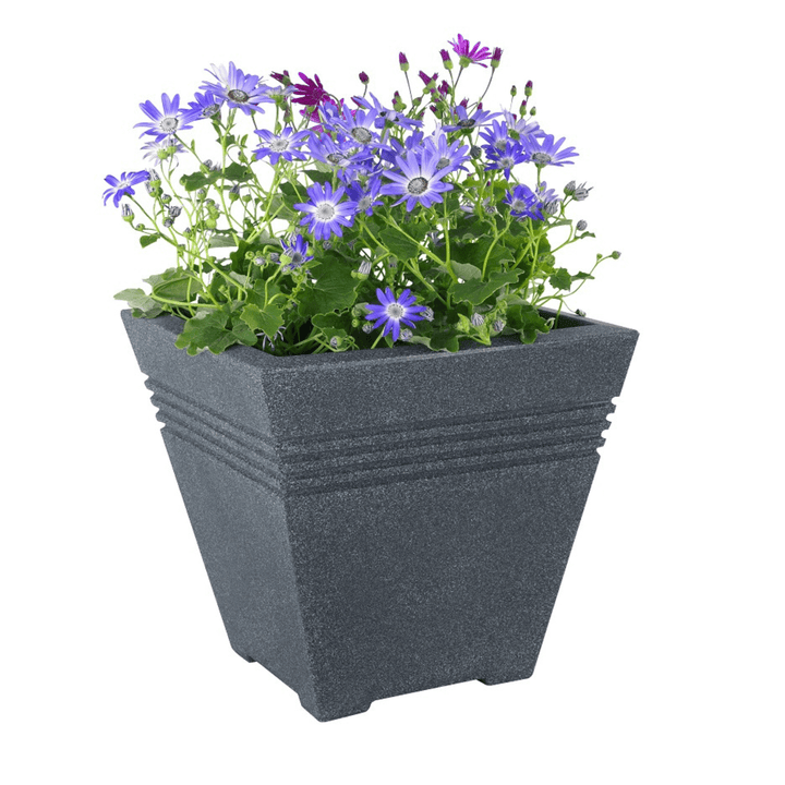 ash colour square plant pot with purple flowers inside on white background