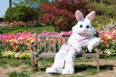 Fun Easter Activities for Kids: Celebrate with XS Stock's Amazing Easter Products!
