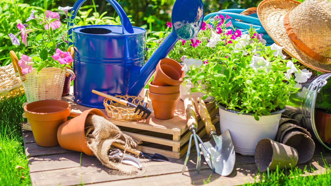 plant pots, gardening tools and plant pits on crate in garden