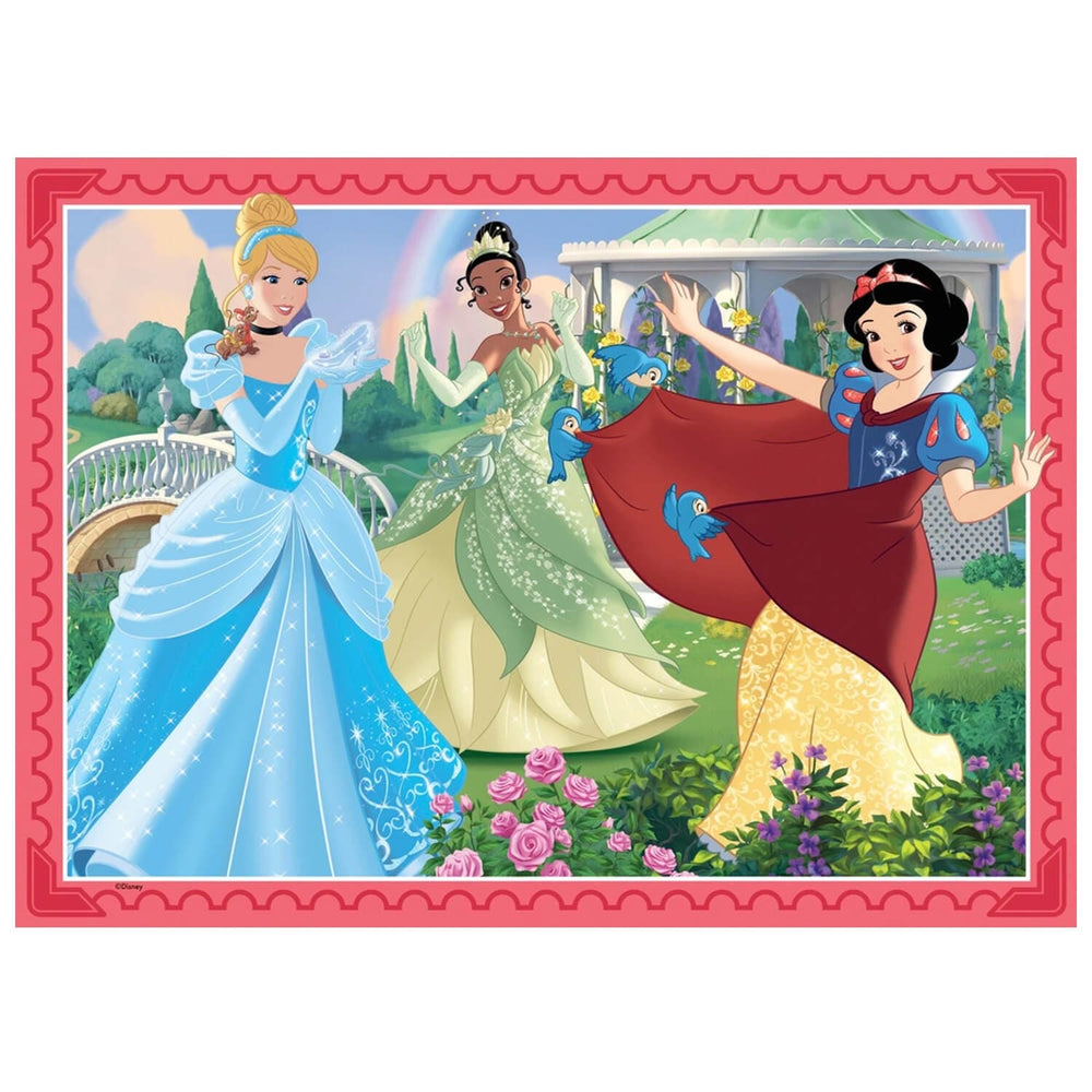 Disney Princess Snow White Cinderella and Tiana