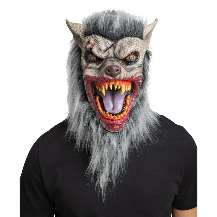 A person wearing a detailed werewolf Halloween mask with gray faux fur, sharp yellowed teeth, and a snarling expression, paired with a black t-shirt against a plain white background.