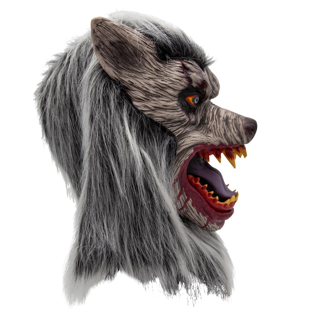 Profile of a Halloween werewolf mask with grey fur and open mouth on a white background