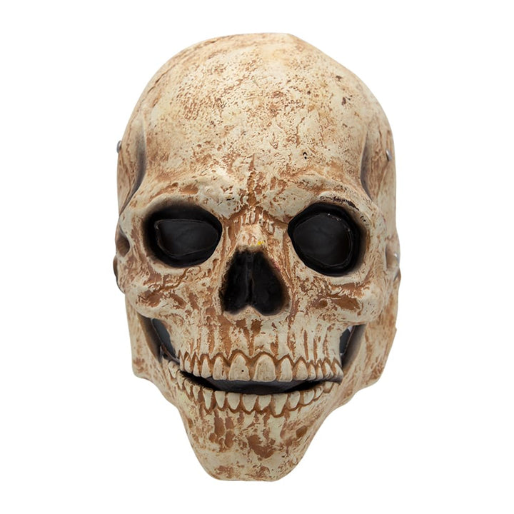 Skull mask with weathered bone detailing on a white background