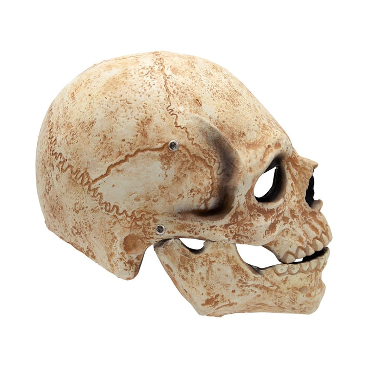 Detailed full head skull mask with moving jaw