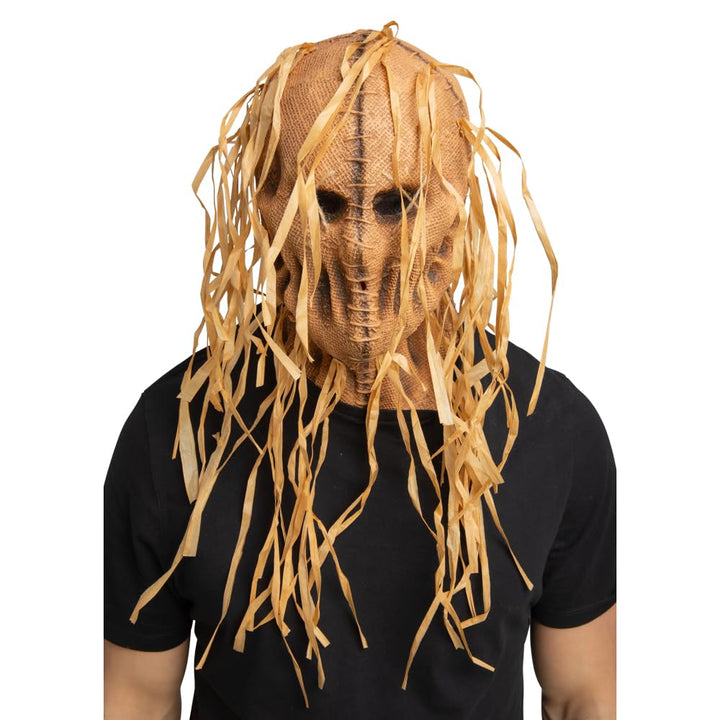 Person wearing a scarecrow mask with long strands on a white background