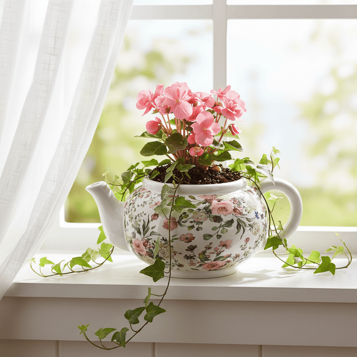 Teapot Planter Ceramic Flower Pot Herbs Succulents Home 34cm