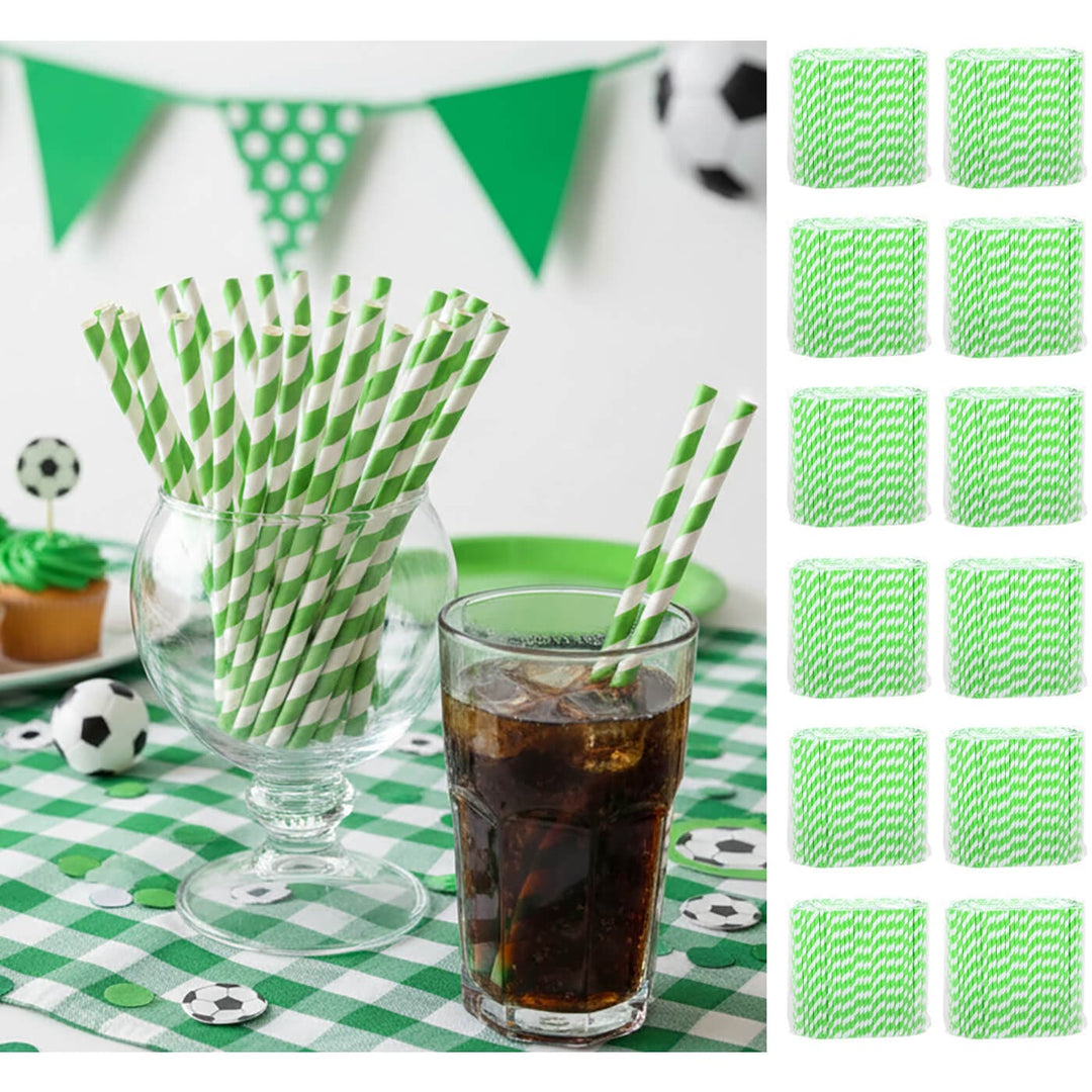Bulk pack of 3000 Striped Paper Straws Eco Friendly Recyclable