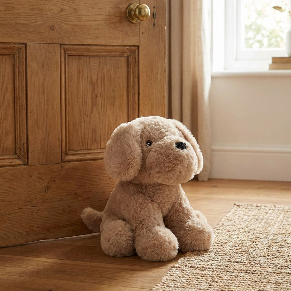 puppy dog door stop on wooden floor beside jute rug holding wooden door open