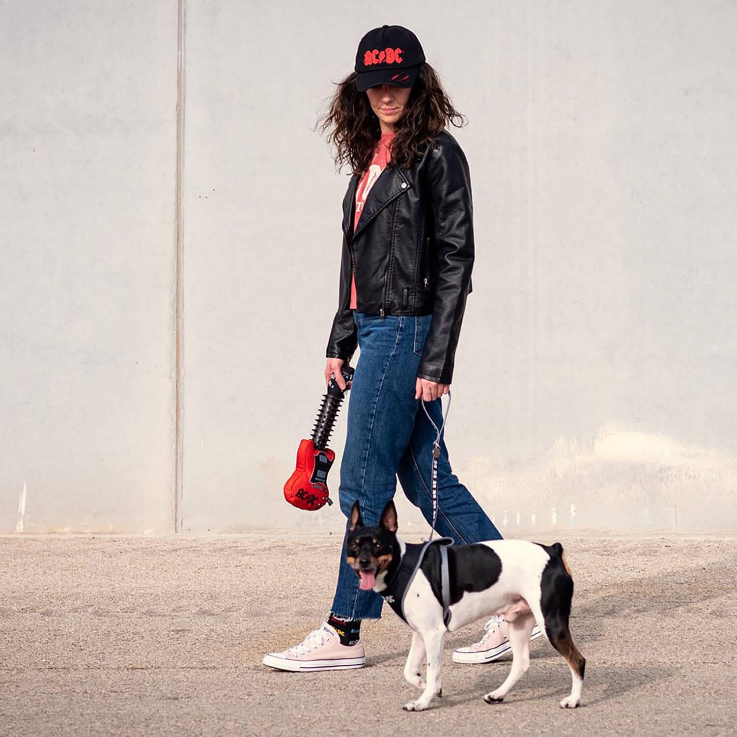 Buy AC/DC Dog Lead Heavy Duty Metal Clip Tough Nylon Leash | XS Stock ...