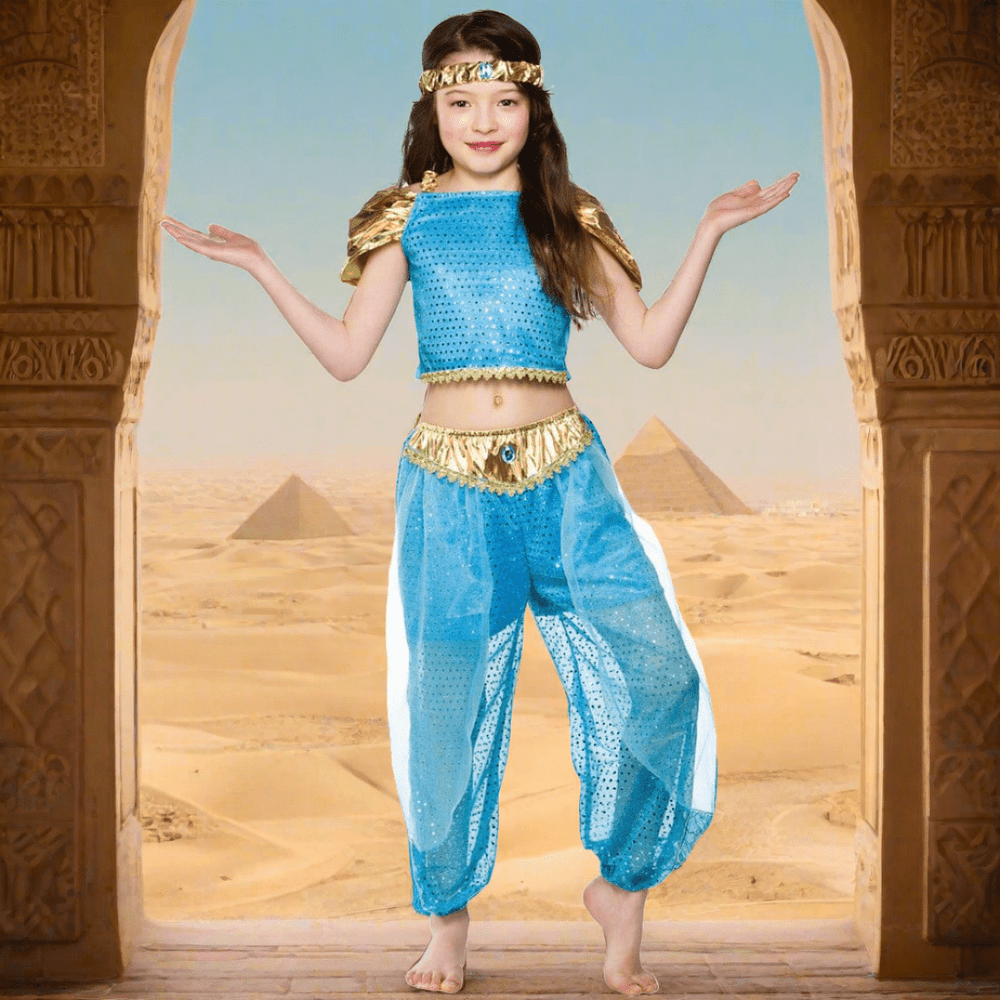 Arabian girl fancy dress sale