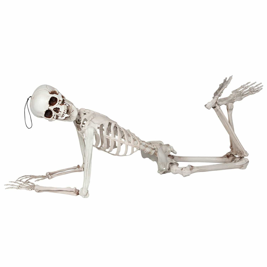Poseable skeleton lying on the floor with hanging loop