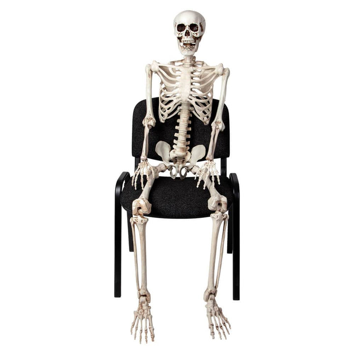 Poseable skeleton figure sitting on a black chair against a white background