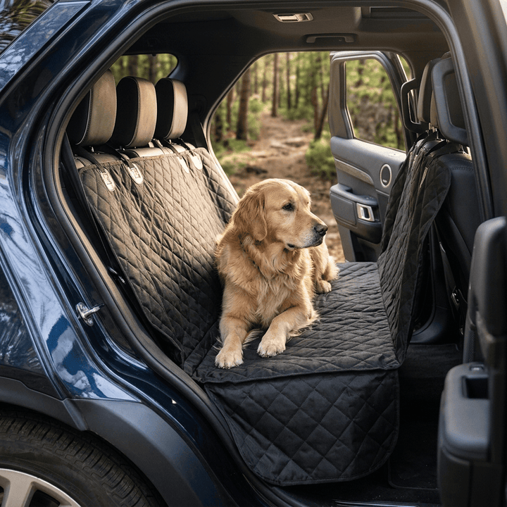 Dog sitting on a car seat cover in the back of a vehicle with a forest path outside.