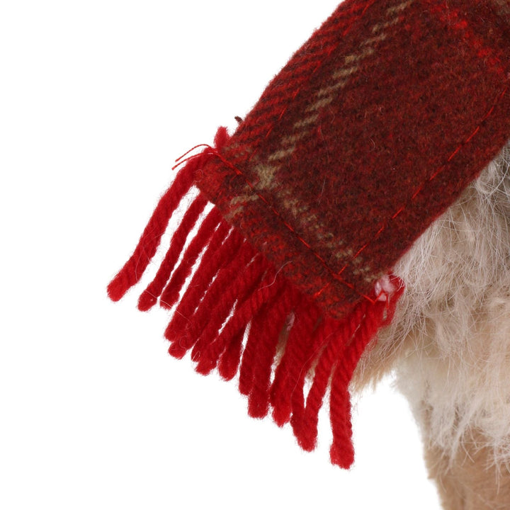 bear wearing a red and brown plaid scarf with fringes on a white background