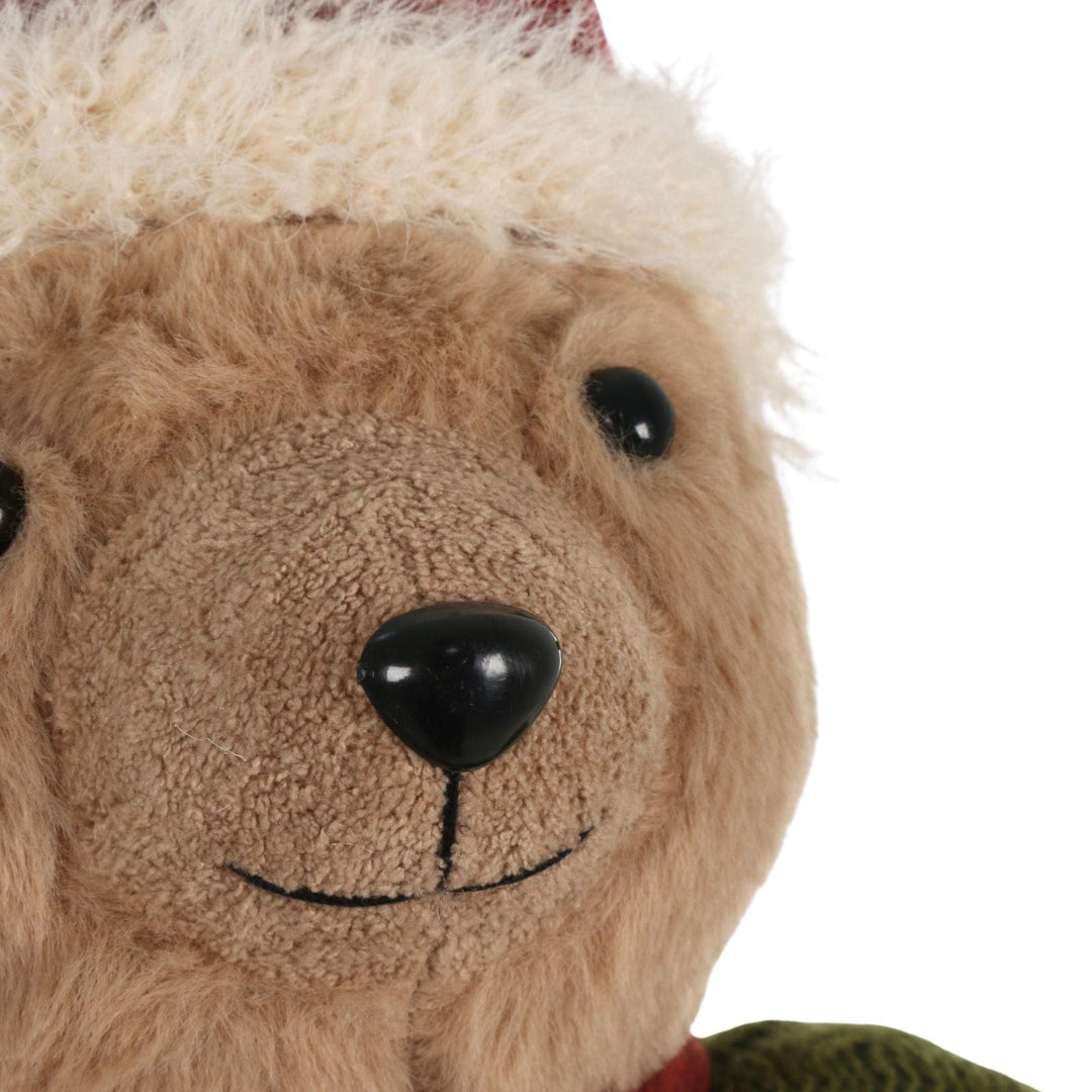 Close-up of a teddy bear's face with a white background