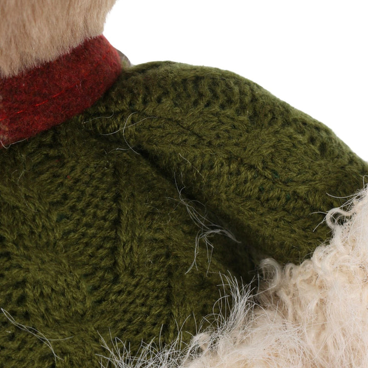 Close-up of a teddy bear wearing a green knitted sweater and red scarf on a white background