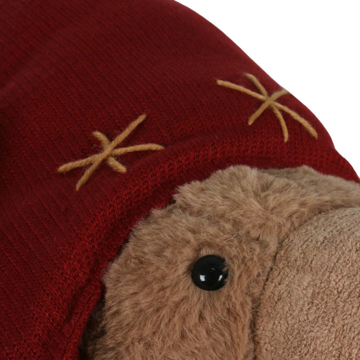 Close-up of a teddy bear's face with a red hood and star patterns.