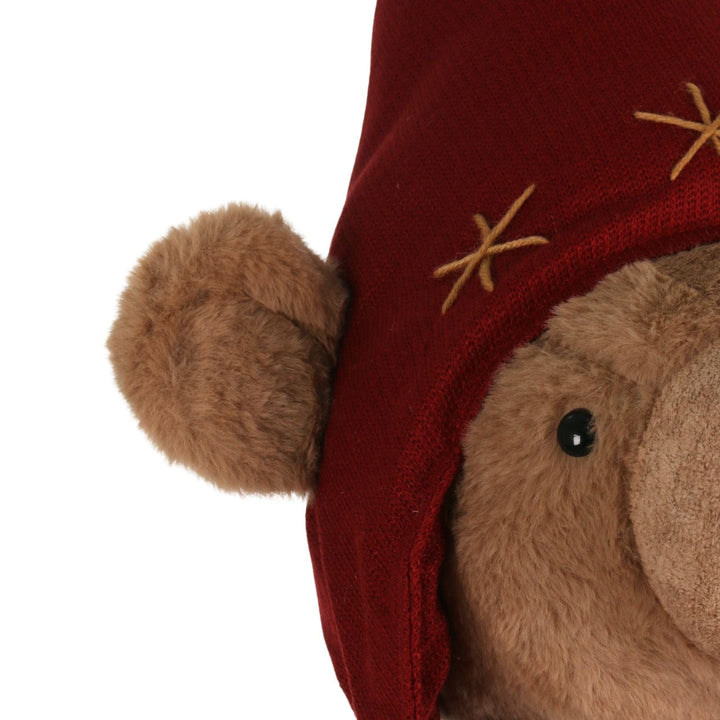 Close-up of a plush teddy bear with a red hood and star patterns on a white background
