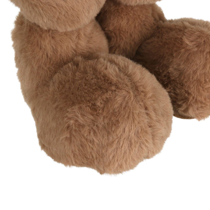 Close-up of brown fuzzy bear feet on a white background