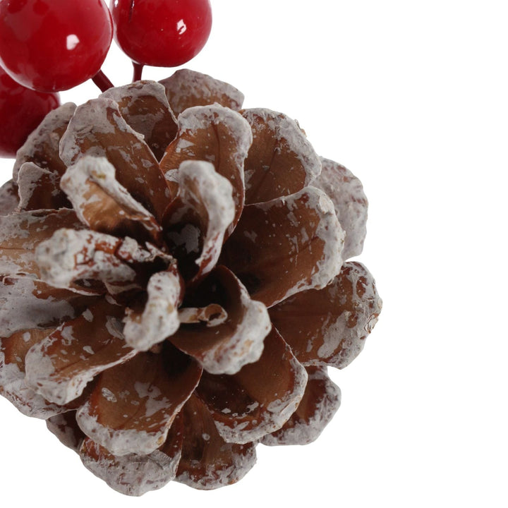 detail shot of white snow covered edge on pine cone