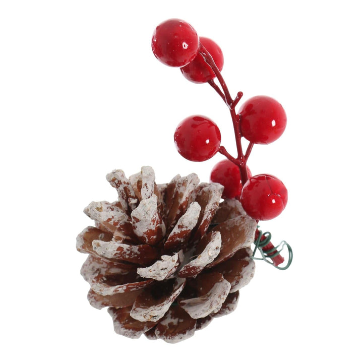 side view of pine cone with red berry cluster