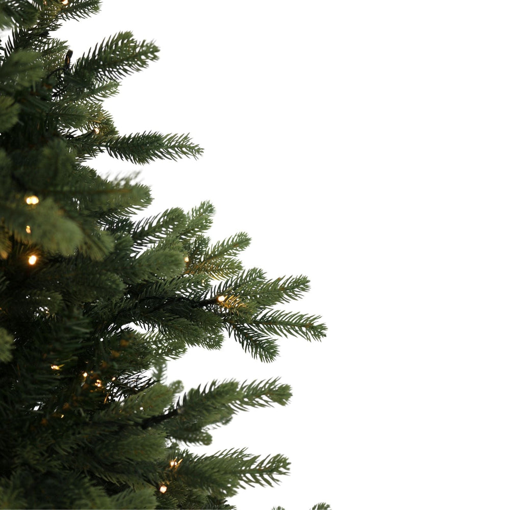 Close-up of a green Christmas tree with lights on a white background