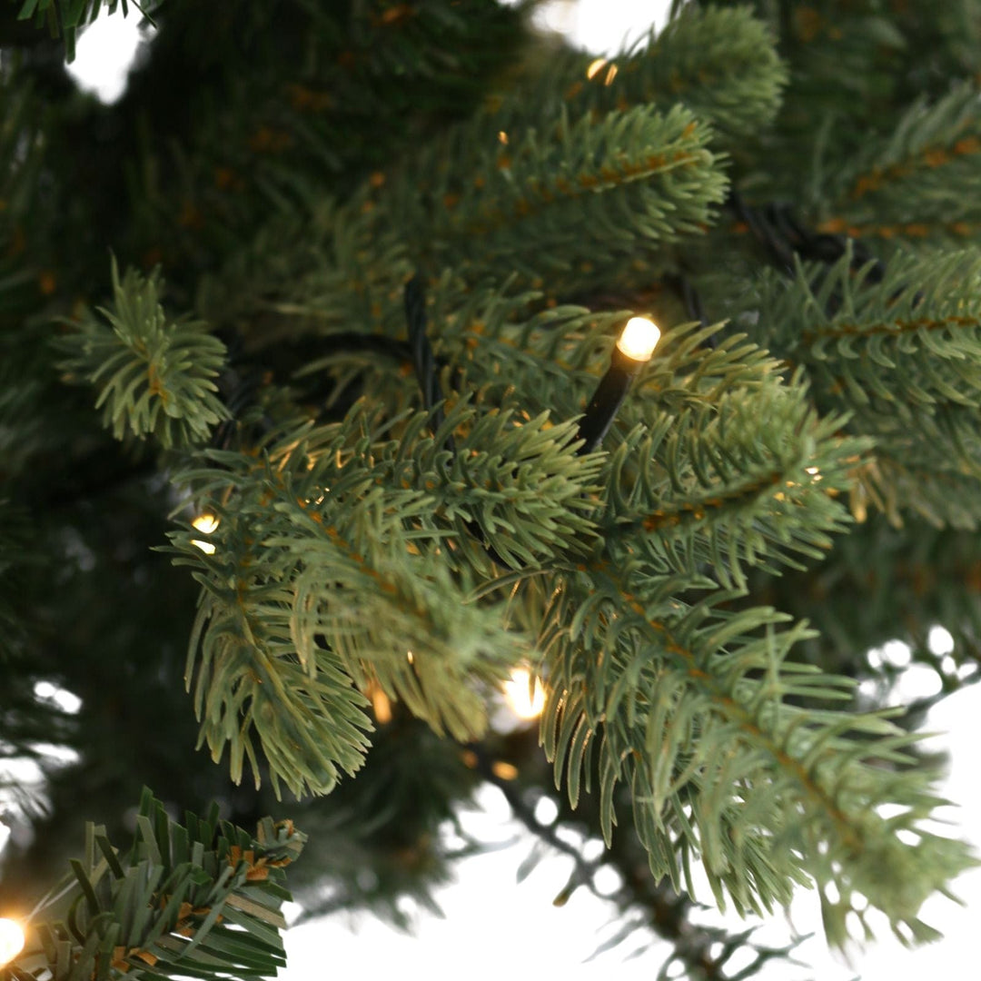 Close-up of a Christmas tree with lights on green branches