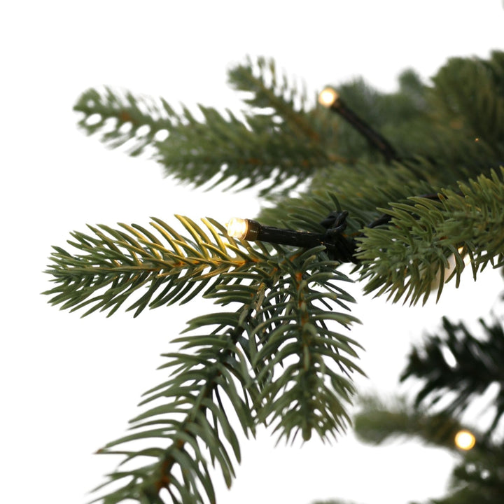 Close-up of a Christmas tree branch with lights on a white background