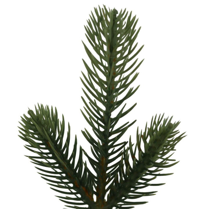 Close-up of a green pine branch on a white background