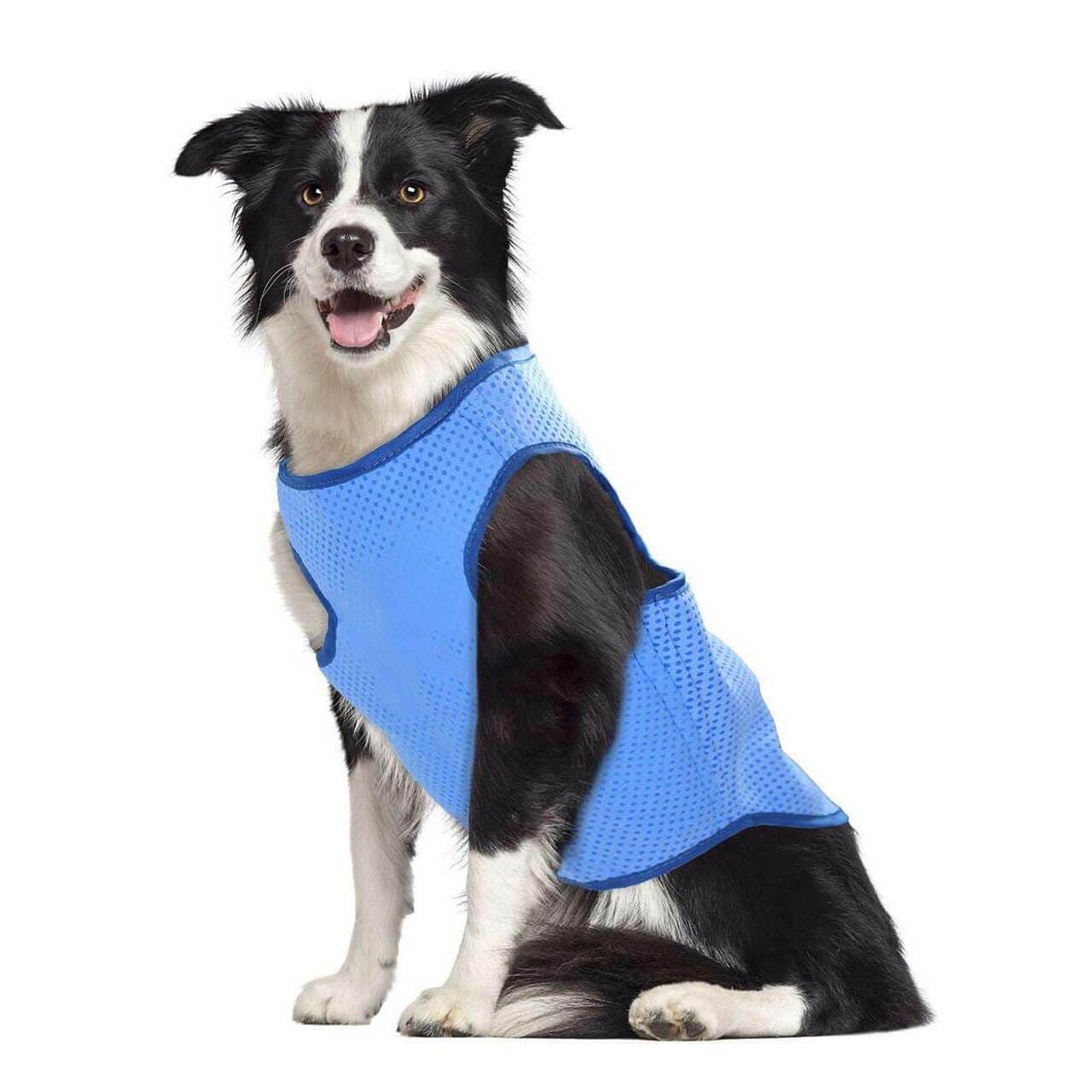 Keepcool dog coats store