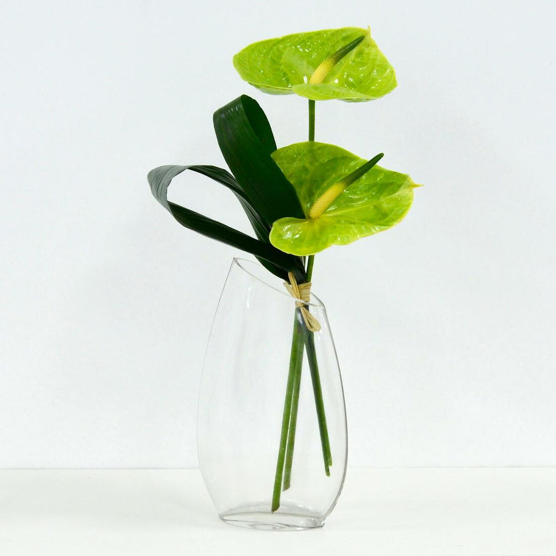 SECONDS - Bud Vase Oval Clear Glass Flower Stem  25cm