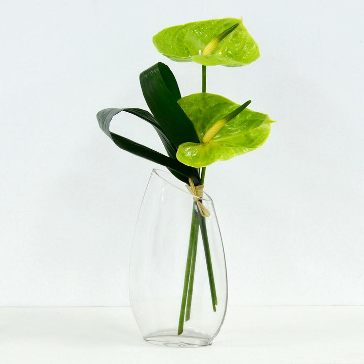 SECONDS - Bud Vase Oval Clear Glass Flower Stem  25cm